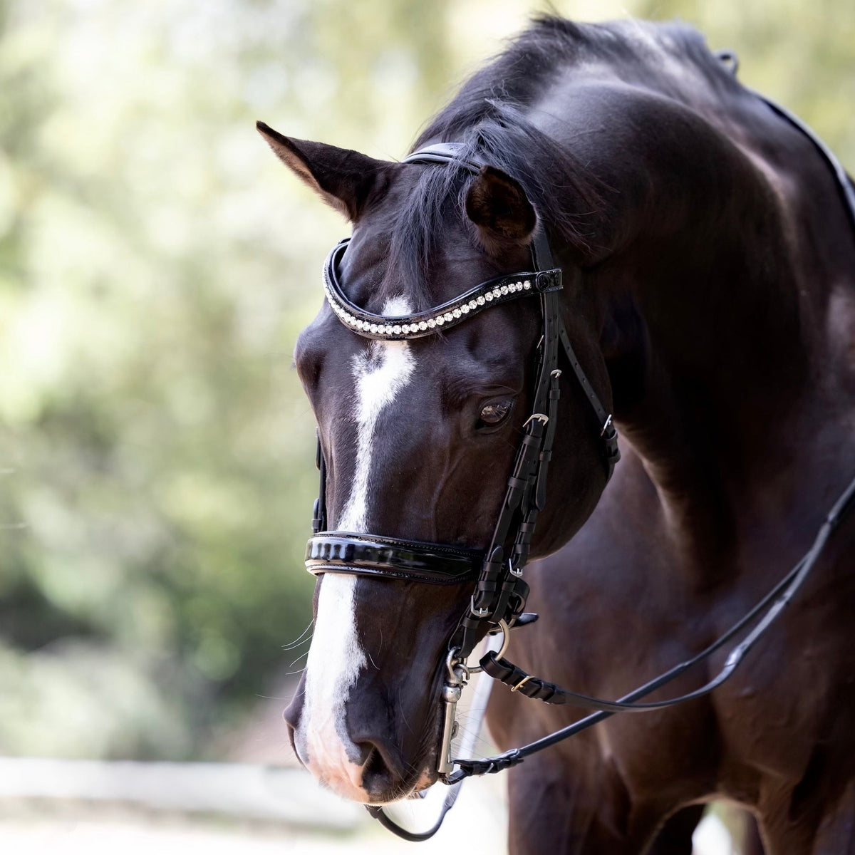 The &#39;Showstopper&#39; Patent Double Bridle