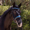 Rhaegal - Metallic Teal Leather Snaffle with Metallic Taupe Padding