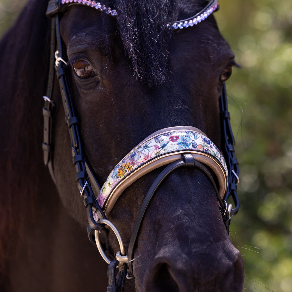 Limited Edition Monet Snaffle Bridle