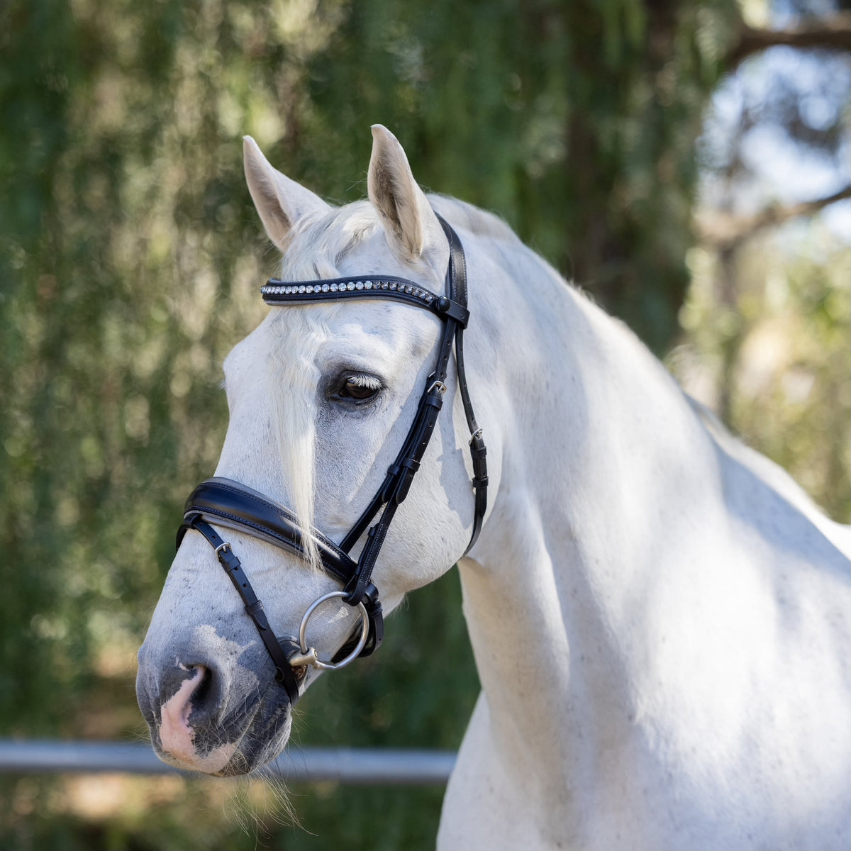 Sterling Navy Leather Conical Snaffle